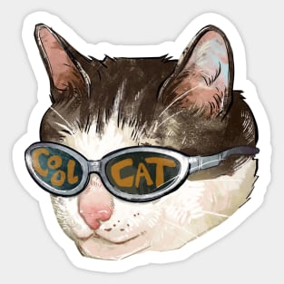 Cool Cat Sunglasses Sticker